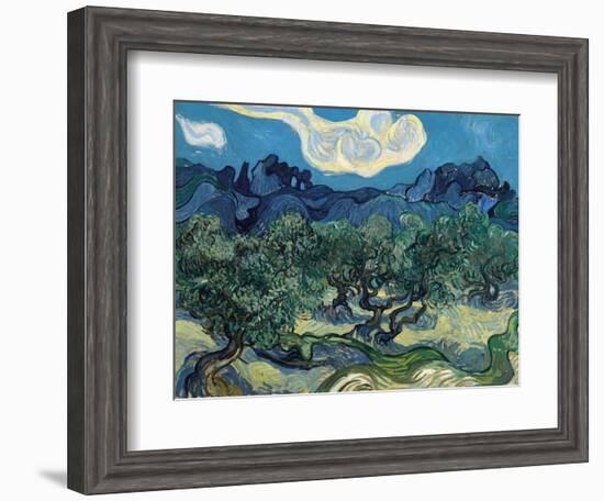 Olive Trees, 1889-Vincent van Gogh-Framed Giclee Print