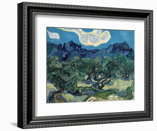 Olive Trees, 1889-Vincent van Gogh-Framed Giclee Print