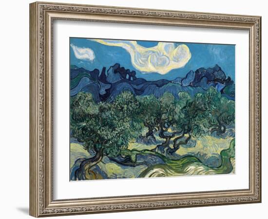 Olive Trees, 1889-Vincent van Gogh-Framed Giclee Print