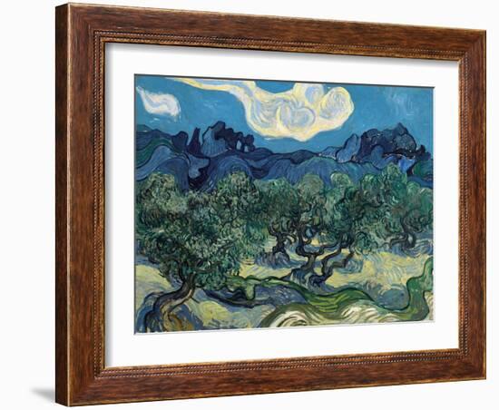 Olive Trees, 1889-Vincent van Gogh-Framed Giclee Print