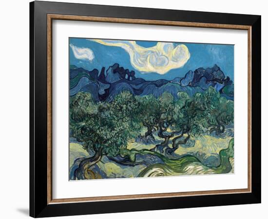 Olive Trees, 1889-Vincent van Gogh-Framed Giclee Print