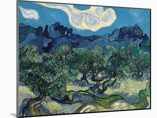 Olive Trees, 1889-Vincent van Gogh-Mounted Giclee Print