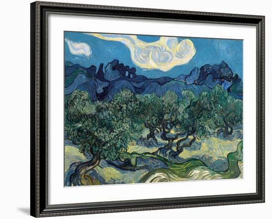 Olive Trees, 1889-Vincent van Gogh-Framed Giclee Print