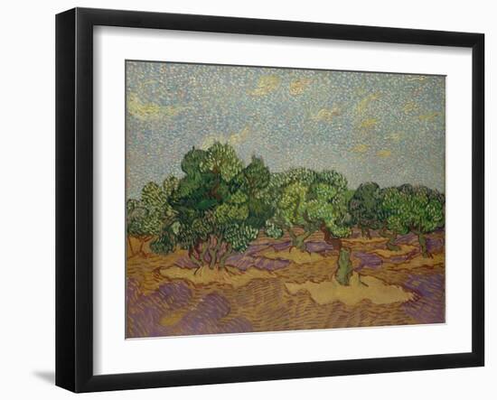 Olive Trees, 1889-Vincent van Gogh-Framed Giclee Print