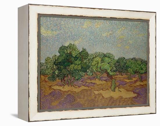 Olive Trees, 1889-Vincent van Gogh-Framed Premier Image Canvas