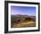 Olive Trees at Sunset, Ardales, Province Malaga, Andalusia, Spain, Europe-Markus Lange-Framed Photographic Print