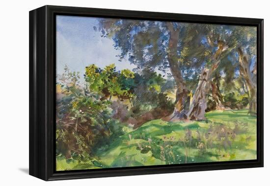 Olive Trees, Corfu-John Singer Sargent-Framed Premier Image Canvas