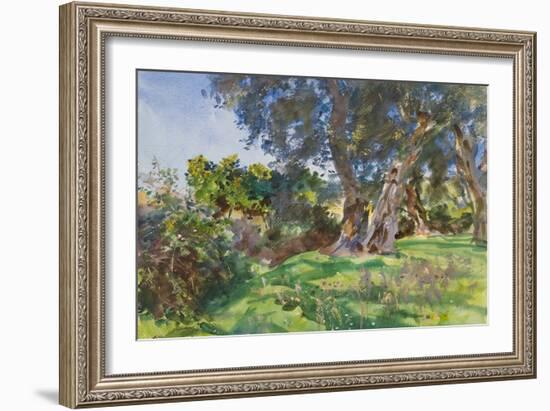 Olive Trees, Corfu-John Singer Sargent-Framed Giclee Print