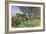 Olive Trees, Corfu-John Singer Sargent-Framed Giclee Print