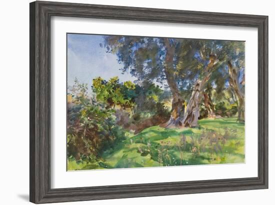 Olive Trees, Corfu-John Singer Sargent-Framed Giclee Print