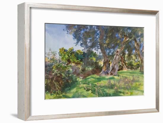 Olive Trees, Corfu-John Singer Sargent-Framed Giclee Print