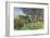 Olive Trees, Corfu-John Singer Sargent-Framed Giclee Print