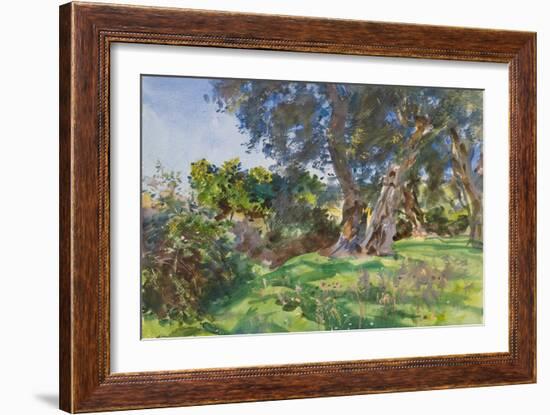 Olive Trees, Corfu-John Singer Sargent-Framed Giclee Print