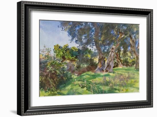 Olive Trees, Corfu-John Singer Sargent-Framed Giclee Print