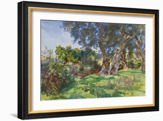 Olive Trees, Corfu-John Singer Sargent-Framed Giclee Print