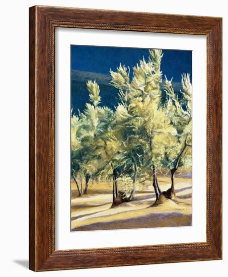 Olive Trees in Italy-Helen J. Vaughn-Framed Giclee Print