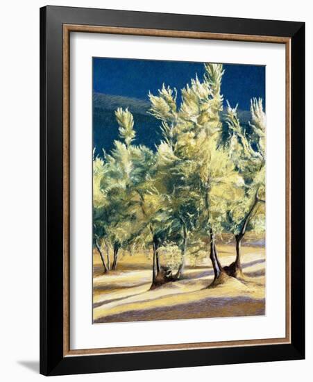 Olive Trees in Italy-Helen J. Vaughn-Framed Giclee Print