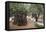 Olive Trees in the Garden of Gethsemane, Jerusalem, Israel, Middle East-Yadid Levy-Framed Premier Image Canvas