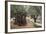 Olive Trees in the Garden of Gethsemane, Jerusalem, Israel, Middle East-Yadid Levy-Framed Photographic Print