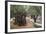 Olive Trees in the Garden of Gethsemane, Jerusalem, Israel, Middle East-Yadid Levy-Framed Photographic Print