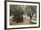 Olive Trees in the Garden of Gethsemane, Jerusalem, Israel, Middle East-Yadid Levy-Framed Photographic Print