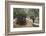 Olive Trees in the Garden of Gethsemane, Jerusalem, Israel, Middle East-Yadid Levy-Framed Photographic Print