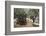 Olive Trees in the Garden of Gethsemane, Jerusalem, Israel, Middle East-Yadid Levy-Framed Photographic Print