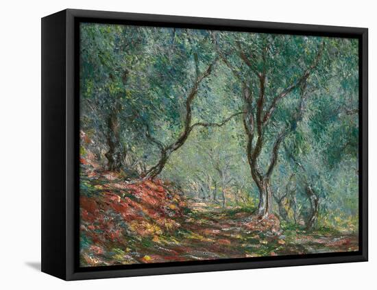Olive Trees in the Moreno Garden, 1884-Claude Monet-Framed Premier Image Canvas