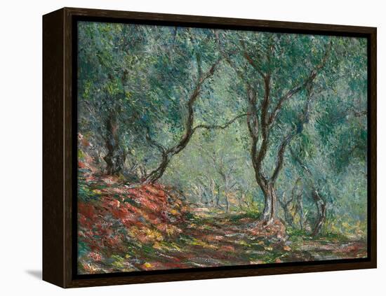 Olive Trees in the Moreno Garden, 1884-Claude Monet-Framed Premier Image Canvas