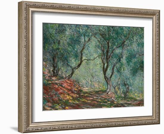 Olive Trees in the Moreno Garden, 1884-Claude Monet-Framed Premium Giclee Print