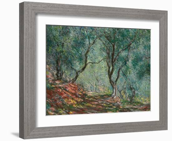 Olive Trees in the Moreno Garden, 1884-Claude Monet-Framed Premium Giclee Print