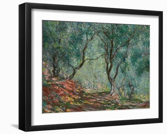 Olive Trees in the Moreno Garden, 1884-Claude Monet-Framed Premium Giclee Print