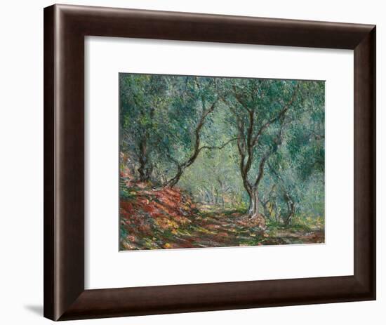 Olive Trees in the Moreno Garden, 1884-Claude Monet-Framed Giclee Print