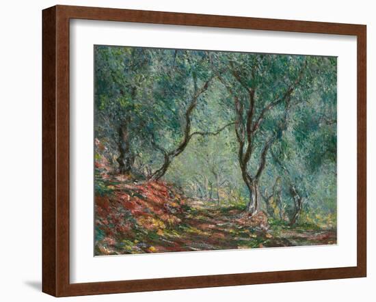 Olive Trees in the Moreno Garden, 1884-Claude Monet-Framed Giclee Print