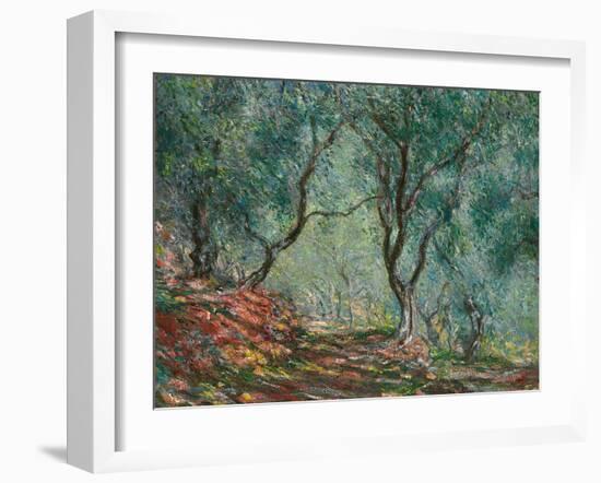 Olive Trees in the Moreno Garden, 1884-Claude Monet-Framed Giclee Print