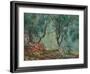 Olive Trees in the Moreno Garden, 1884-Claude Monet-Framed Giclee Print
