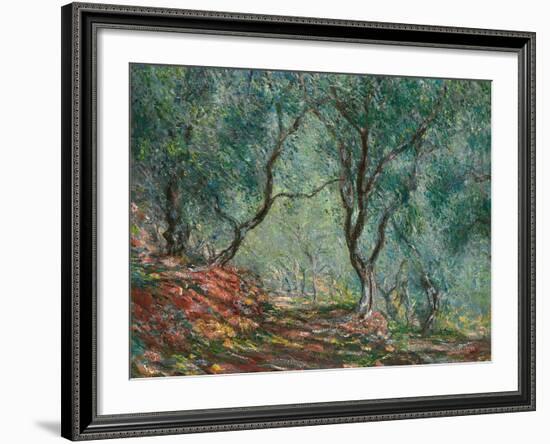 Olive Trees in the Moreno Garden, 1884-Claude Monet-Framed Giclee Print