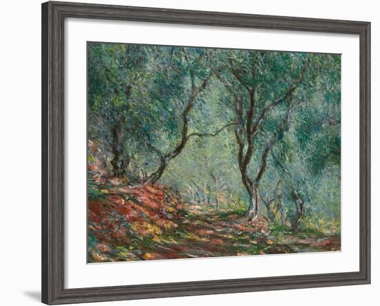 Olive Trees in the Moreno Garden, 1884-Claude Monet-Framed Giclee Print