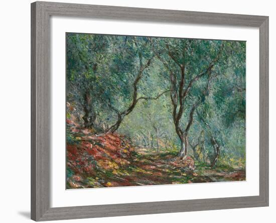 Olive Trees in the Moreno Garden, 1884-Claude Monet-Framed Giclee Print