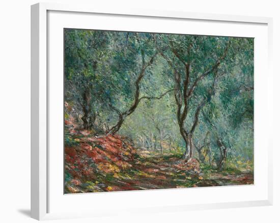 Olive Trees in the Moreno Garden, 1884-Claude Monet-Framed Giclee Print