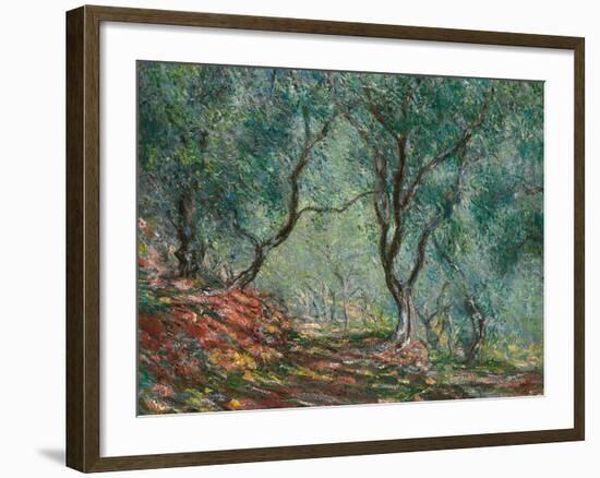 Olive Trees in the Moreno Garden, 1884-Claude Monet-Framed Giclee Print