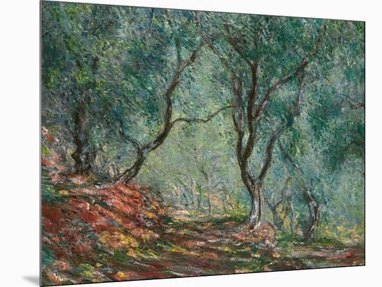 Olive Trees in the Moreno Garden, 1884-Claude Monet-Mounted Giclee Print