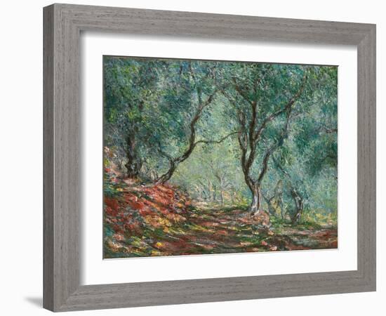 Olive Trees in the Moreno Garden; Bois D'oliviers Au Jardin Moreno, 1884 (Oil on Canvas)-Claude Monet-Framed Giclee Print