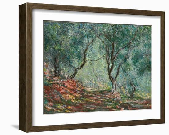 Olive Trees in the Moreno Garden; Bois D'oliviers Au Jardin Moreno, 1884 (Oil on Canvas)-Claude Monet-Framed Giclee Print