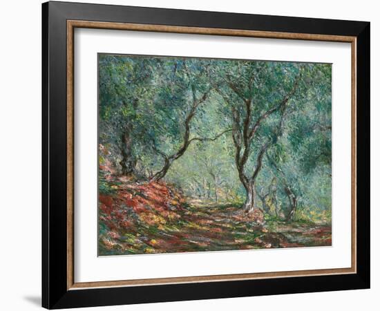 Olive Trees in the Moreno Garden; Bois D'oliviers Au Jardin Moreno, 1884 (Oil on Canvas)-Claude Monet-Framed Giclee Print