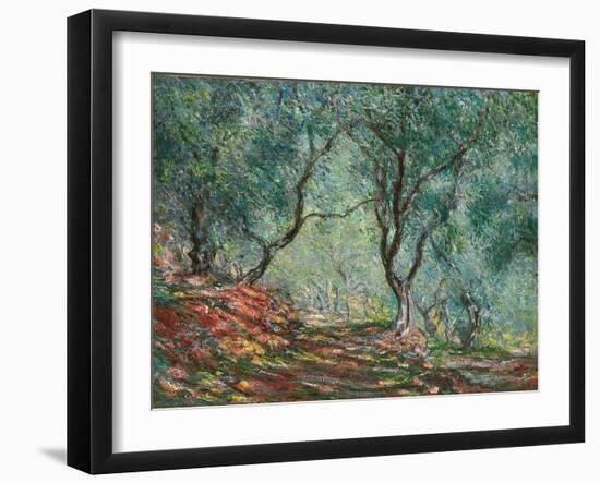 Olive Trees in the Moreno Garden; Bois D'oliviers Au Jardin Moreno, 1884 (Oil on Canvas)-Claude Monet-Framed Giclee Print