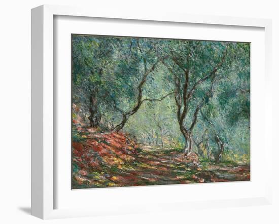 Olive Trees in the Moreno Garden; Bois D'oliviers Au Jardin Moreno, 1884 (Oil on Canvas)-Claude Monet-Framed Giclee Print