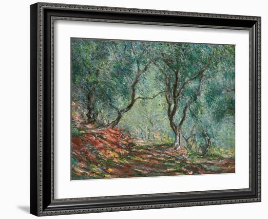 Olive Trees in the Moreno Garden; Bois D'oliviers Au Jardin Moreno, 1884 (Oil on Canvas)-Claude Monet-Framed Giclee Print