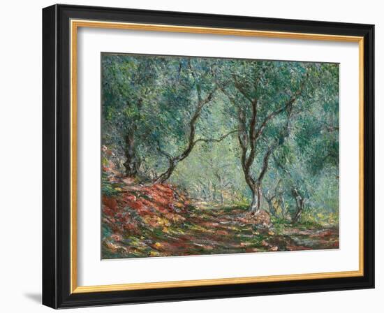 Olive Trees in the Moreno Garden; Bois D'oliviers Au Jardin Moreno, 1884 (Oil on Canvas)-Claude Monet-Framed Giclee Print