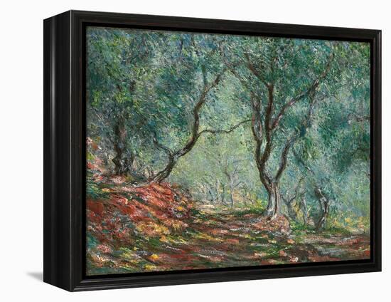 Olive Trees in the Moreno Garden; Bois D'oliviers Au Jardin Moreno, 1884 (Oil on Canvas)-Claude Monet-Framed Premier Image Canvas